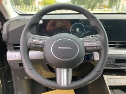 
										Hyundai Kona 1.6 Full Hybrid GDI 138 CV DCT Business 2WD full									